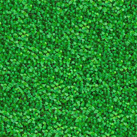 simsearch:400-07830872,k - Green Meadow Grass. Seamless Tileable Texture. Foto de stock - Royalty-Free Super Valor e Assinatura, Número: 400-06748672