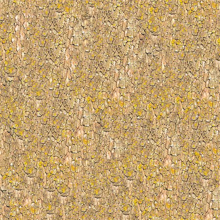 simsearch:400-07619334,k - Seamless Tileable Texture of Light Bark. Stock Photo - Budget Royalty-Free & Subscription, Code: 400-06749294