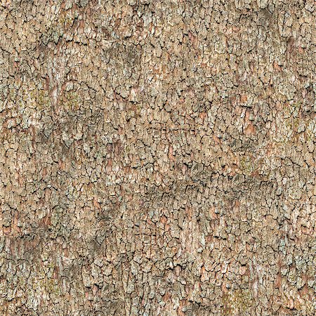 simsearch:400-04365263,k - Seamless Tileable Texture of Bark. Stock Photo - Budget Royalty-Free & Subscription, Code: 400-06749295