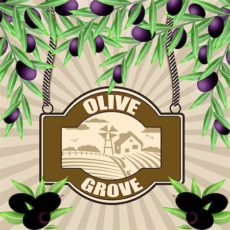 Olive grove vintage retro poster, vector illustrator Stock Photo - Budget Royalty-Free & Subscription, Code: 400-06749359