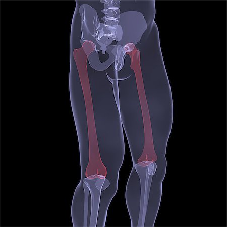 X-ray of human legs. Render on a black background Stock Photo - Budget Royalty-Free & Subscription, Code: 400-06749484