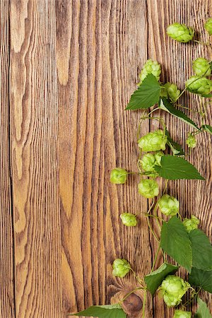 Image of a hop plant on a wooden table. Close up Stock Photo - Budget Royalty-Free & Subscription, Code: 400-06740255