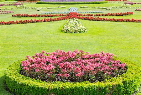 simsearch:400-04416181,k - Blossoming red flower on lawn in summer city park Fotografie stock - Microstock e Abbonamento, Codice: 400-06741641