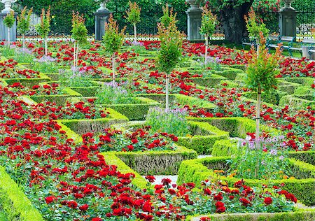 simsearch:400-06633565,k - Blossoming rose flowerbeds in summer city park Fotografie stock - Microstock e Abbonamento, Codice: 400-06741642