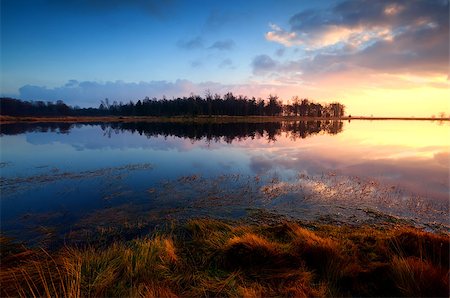 simsearch:400-06875459,k - colorful sunset over wild big lake in Dwingelderveld, Drenthe Stock Photo - Budget Royalty-Free & Subscription, Code: 400-06741978