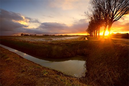simsearch:400-06741971,k - sunrise in dutch farmland by canal and fields Foto de stock - Super Valor sin royalties y Suscripción, Código: 400-06741973