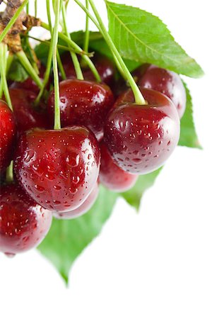 simsearch:400-08110532,k - Bunch of fresh ripe cherries close-up with leaves and stems isolated on white background. Stock Photo - Budget Royalty-Free & Subscription, Code: 400-06741990