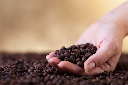 Fresh roasted coffee beans in cupped woman hands - closeup Stock Photo - Budget Royalty-Free & Subscription, Code: 400-06742742