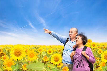 happy senior couple standing in the sunflower garden Stock Photo - Budget Royalty-Free & Subscription, Code: 400-06742820