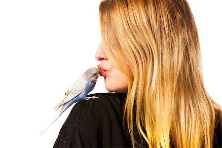 simsearch:400-06758392,k - Friendly parakeet sitting on a womans shoulder. She gives the bird a little kiss Photographie de stock - Aubaine LD & Abonnement, Code: 400-06758395