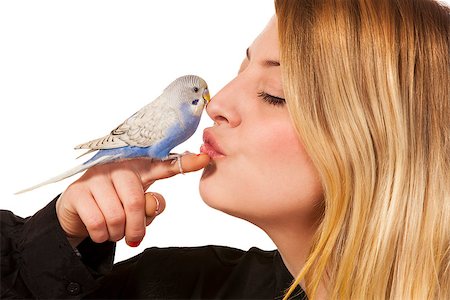 Parakeet sitting on womans finger and she gives the bird a little kiss. Foto de stock - Super Valor sin royalties y Suscripción, Código: 400-06758392