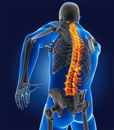 3D medical man with skeleton spine highlighted Stock Photo - Budget Royalty-Free & Subscription, Code: 400-06758633