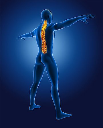 simsearch:400-06768229,k - 3D medical man with skeleton spine highlighted Fotografie stock - Microstock e Abbonamento, Codice: 400-06758805