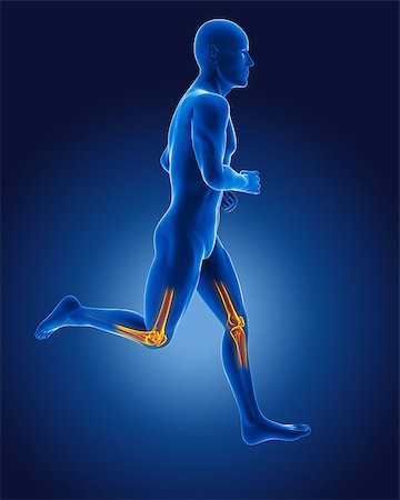 simsearch:400-04359834,k - 3D running medical man with skeleton knees highlighted Foto de stock - Super Valor sin royalties y Suscripción, Código: 400-06758807