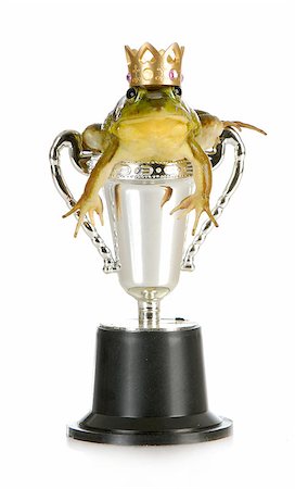 handsome prince - bullfrog in a trophy with a crown isolated on white background Fotografie stock - Microstock e Abbonamento, Codice: 400-06758883