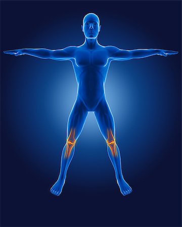 simsearch:400-06768229,k - 3D medical man with skeleton knees highlighted Fotografie stock - Microstock e Abbonamento, Codice: 400-06758946