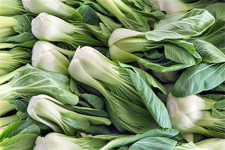 Chinese Cabbage Bok Choy White Vegetables at Wet Market in Southeast Asia Stock Photo - Budget Royalty-Free & Subscription, Code: 400-06750672