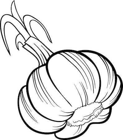 simsearch:400-06764427,k - Black and White Cartoon Illustration of Garlic Head Vegetable Food Object for Coloring Book Fotografie stock - Microstock e Abbonamento, Codice: 400-06751113