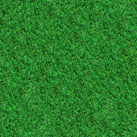 simsearch:400-07830872,k - Green Meadow Grass. Seamless Tileable Texture. Foto de stock - Royalty-Free Super Valor e Assinatura, Número: 400-06751771