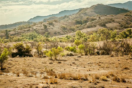 flinders range national park - An image of the great Flinders Ranges in south Australia Stock Photo - Budget Royalty-Free & Subscription, Code: 400-06764266