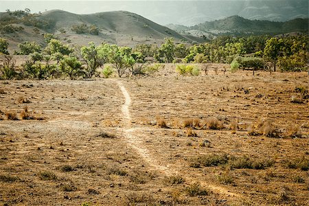 parc national flinders ranges - An image of the great Flinders Ranges in south Australia Photographie de stock - Aubaine LD & Abonnement, Code: 400-06764268