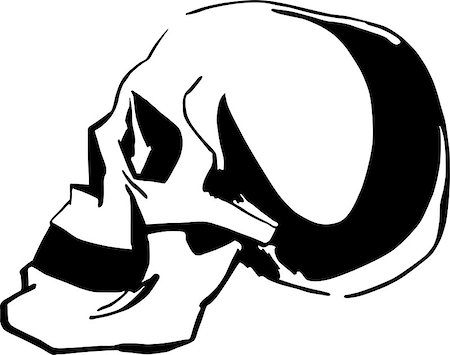 simsearch:400-05336507,k - Black and white sketch of skull Stockbilder - Microstock & Abonnement, Bildnummer: 400-06764415