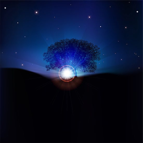 abstract Nature background with sunrise tree stars Stock Photo - Royalty-Free, Artist: Lem, Image code: 400-06765048