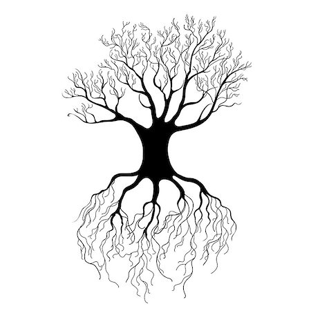 beautiful black tree graphic on a white background Stock Photo - Budget Royalty-Free & Subscription, Code: 400-06766392