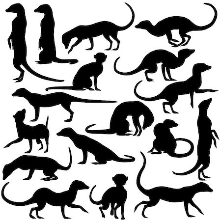 simsearch:400-07104159,k - Set of editable vector silhouettes of meercats in different postures Foto de stock - Super Valor sin royalties y Suscripción, Código: 400-06766483