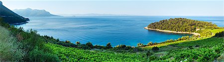 Summer  morning Adriatic Sea coastline view  (Peljesac, Croatia) Stock Photo - Budget Royalty-Free & Subscription, Code: 400-06766955