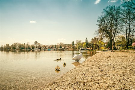 An image of the Starnberg Lake in Bavaria Germany - Tutzing Stock Photo - Budget Royalty-Free & Subscription, Code: 400-06767310