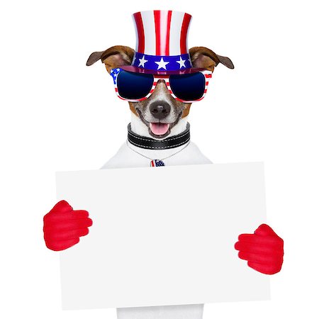 simsearch:400-06082597,k - american dog with red gloves behind banner Photographie de stock - Aubaine LD & Abonnement, Code: 400-06767845