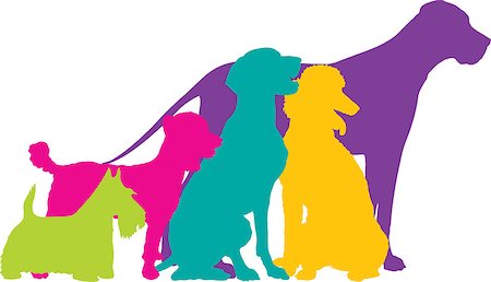 schottischer terrier - A group of five dogs, a Scottie, Mixed, German Pointer, Poodle and Great Dane are silhouetted in a variety of bright colours. Stockbilder - Microstock & Abonnement, Bildnummer: 400-06768639