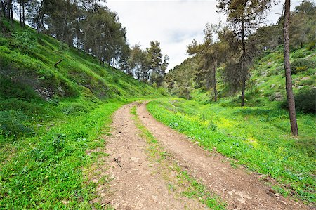 Dirt Road in the Forest of Galilee, Israel Photographie de stock - Aubaine LD & Abonnement, Code: 400-06760462