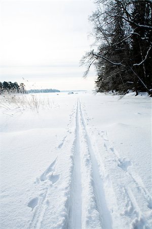 simsearch:400-04800962,k - Winter landscape with cross-country skiing tracks in snow on overcast day Stockbilder - Microstock & Abonnement, Bildnummer: 400-06760574