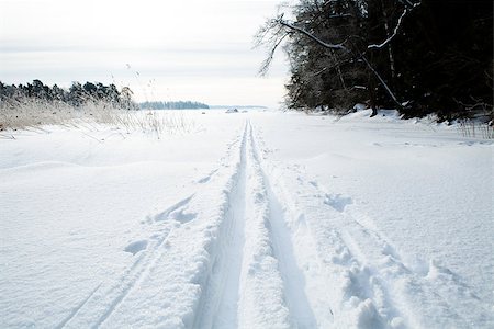 simsearch:400-04800962,k - Winter landscape with cross-country skiing tracks in snow on overcast day Stockbilder - Microstock & Abonnement, Bildnummer: 400-06760572