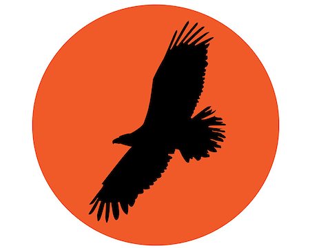 silhouette one bird flying - silhouette of a flying eagle on the round orange background Stock Photo - Budget Royalty-Free & Subscription, Code: 400-06760588