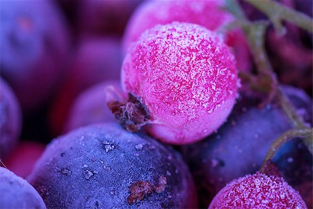 Macro view of frozen berries: blackcurrant, redcurrant, blueberry Stock Photo - Budget Royalty-Free & Subscription, Code: 400-06760689