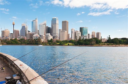 royal botanic gardens - Skyline of Sydney with city central business district.Sydney harbour Foto de stock - Super Valor sin royalties y Suscripción, Código: 400-06760804