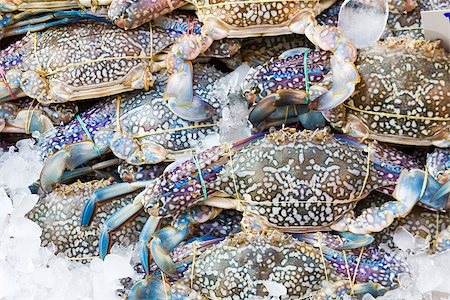 Fresh raw  Blue crab or Flower crab in  fresh market for sale Stock Photo - Budget Royalty-Free & Subscription, Code: 400-06760824