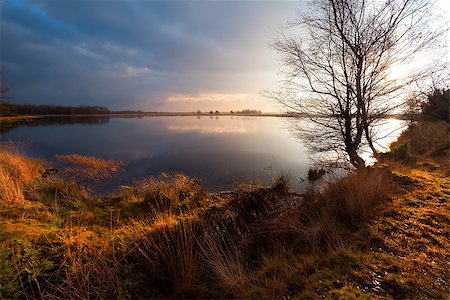 simsearch:400-06875459,k - sunlight over calm wild pond in Dwingelderveld, Drenthe Stock Photo - Budget Royalty-Free & Subscription, Code: 400-06761106