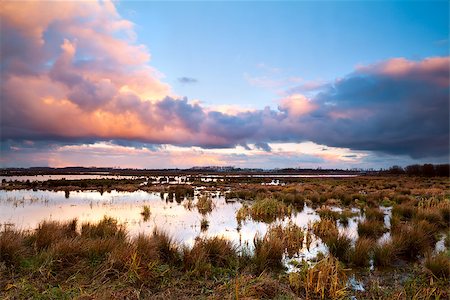 simsearch:400-06875459,k - swamp in Groningen at dramatic early sunrise Stock Photo - Budget Royalty-Free & Subscription, Code: 400-06761102