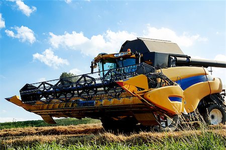 Yellow harvester on field harvesting wheat in sunny weather Stock Photo - Budget Royalty-Free & Subscription, Code: 400-06763190