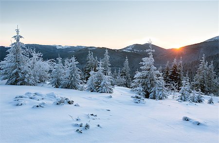 simsearch:400-06861143,k - The first rays of the sun and winter mountain landscape with snowy fir trees on slope Foto de stock - Super Valor sin royalties y Suscripción, Código: 400-06763464