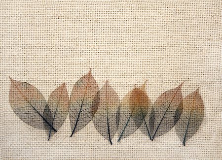 dried leaf ornaments - Background with leaves on canvas texture Stock Photo - Budget Royalty-Free & Subscription, Code: 400-06770439