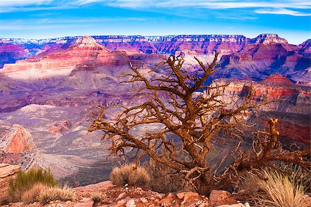 famous desert mountains - Desert view of World Famous Grand Canyon National Park,Arizona, United States Stock Photo - Budget Royalty-Free & Subscription, Code: 400-06770751