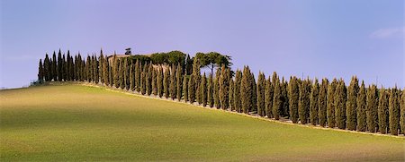 Tipycal country landscape in Tuscany in spring Foto de stock - Super Valor sin royalties y Suscripción, Código: 400-06770901