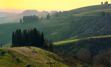 Tipycal country landscape in Tuscany in spring Foto de stock - Super Valor sin royalties y Suscripción, Código: 400-06770902