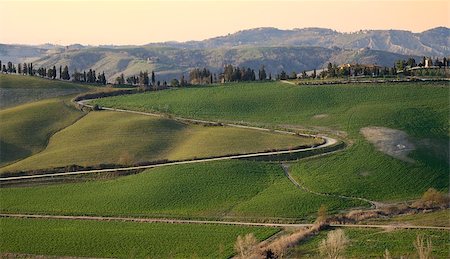 Tipycal country landscape in Tuscany in spring Foto de stock - Super Valor sin royalties y Suscripción, Código: 400-06770903