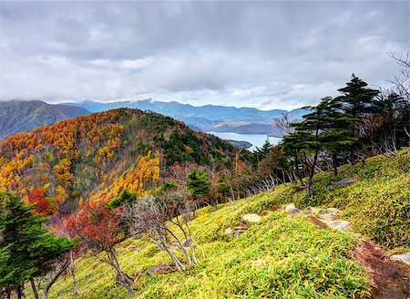 simsearch:400-07253967,k - Landscape in Nikko National Park in Tochigi, Japan. Photographie de stock - Aubaine LD & Abonnement, Code: 400-06771078